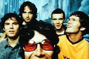 Super Furry Animals