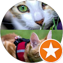 Chelo Simón profile picture
