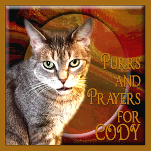 Purrs and Prayers for CODY