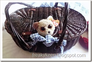 Basket with dog