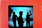 Mess