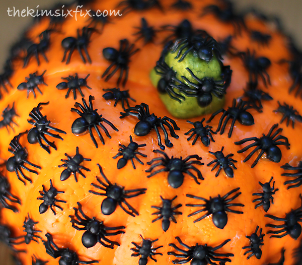 Ant pumpkin