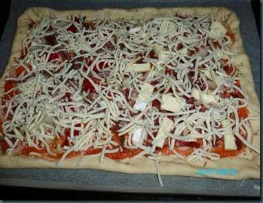 pizza dos gustos, brie y anchoas3 copia