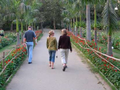 A walk in the park