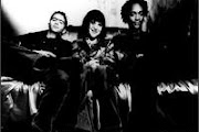 Throwing Muses