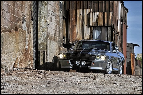 [Eleanor-Mustang-10%255B2%255D.jpg]