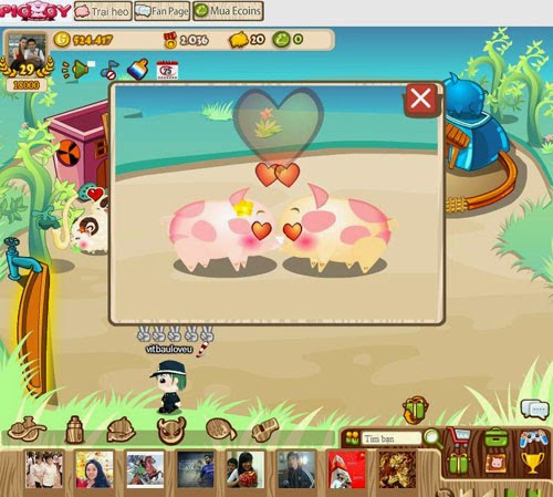 8_phoi giong cho heo.jpg