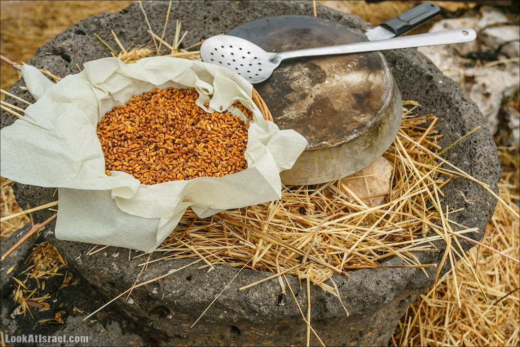 Неот Кдумим - Заповедник библейской природы | נאות קדומים