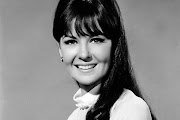 shelley fabres