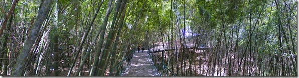 Bosque de Guadua Parque del Café
