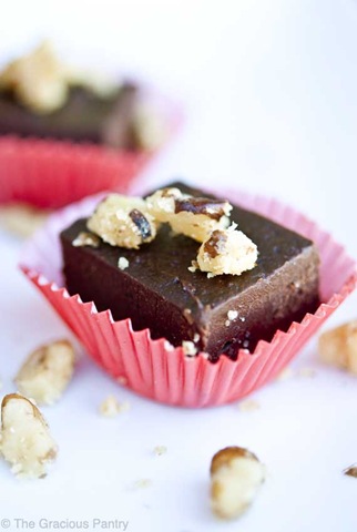 paleo-fudge-1-v-