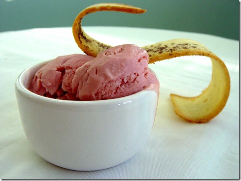 Strawberry and Pomegranate Frozen Yogurt