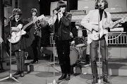 The Byrds