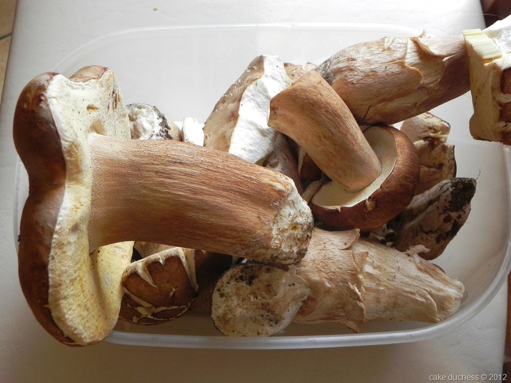 [risotto-con-i-funghi-porcini-2%255B6%255D.jpg]