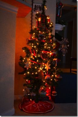 DSC_1189 DSC_1189
