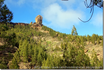 7506 La Goleta-Tejeda(Roque Nublo) 7506 La Goleta-Tejeda(Roque Nublo)