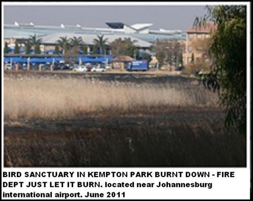 BIRD SANCTUARY BURNS DOWN KEMPTON PARK NEXT TO AIRPORT