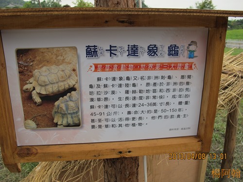 2013 綠色博覽會 - 113