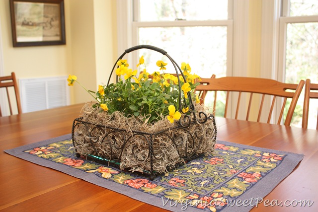 [Violas1%255B3%255D.jpg]