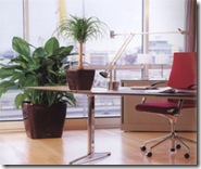 Office-with-plants