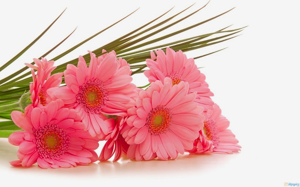 [Pink-Flowers-Wallpaper-Desktop-Free%255B9%255D.jpg]