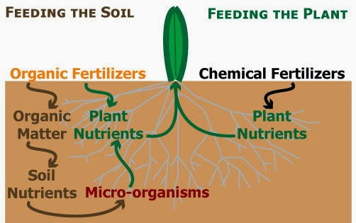 organic manures vs chemfertilizer