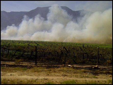 HEXRIVIER 2 VINYARDS BURNING BY PROTESTORS WHO DEMAND MORE JOBS