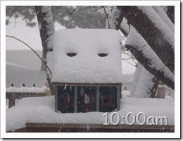 10oclock Snow Storm 01042014 (2)