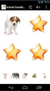 Lastest Animal Sounds for My Kid Lite APK