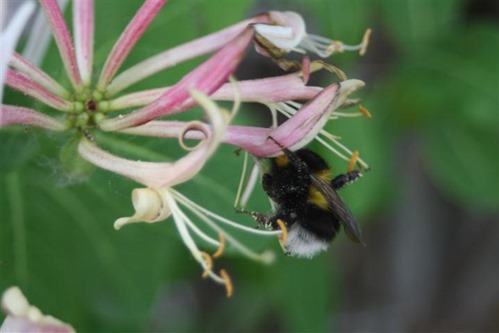 20100625 (10) (Small)