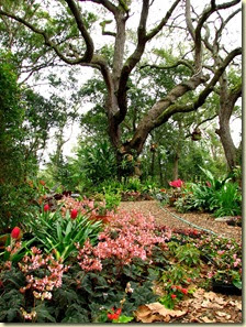 Rolling In An Rv Wheelchair Traveling Mead Botanical Garden