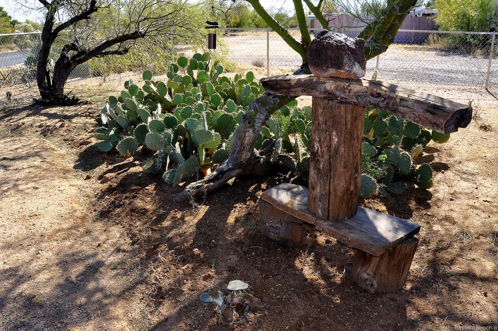 [DSC_0016%255B3%255D.jpg]