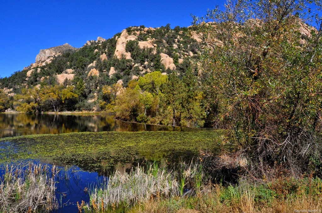 [DSC_0024%255B4%255D.jpg]