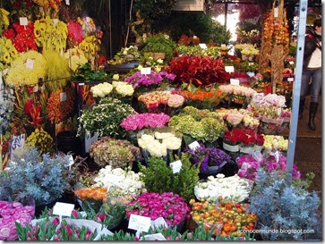 Amsterdam. Mercado de las flores - PB100661