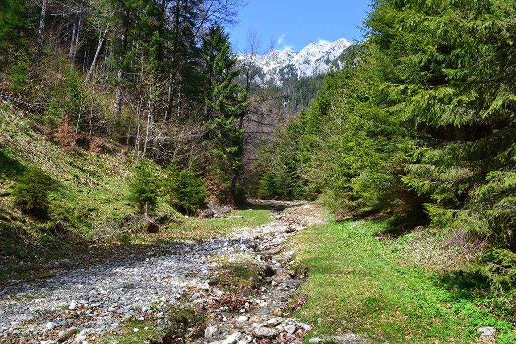 [DSC_80253.jpg]