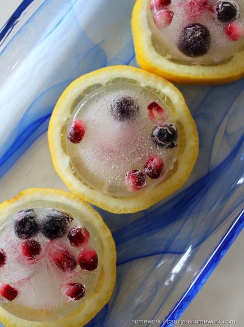 Pomegranate Blueberry Ice by homework | carolynshomework.com