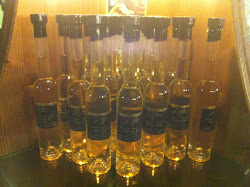 Burgenland 2012 - 022