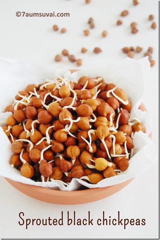 Sprouted black chickpeas