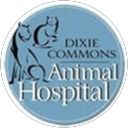 Dixie Commonss profile picture