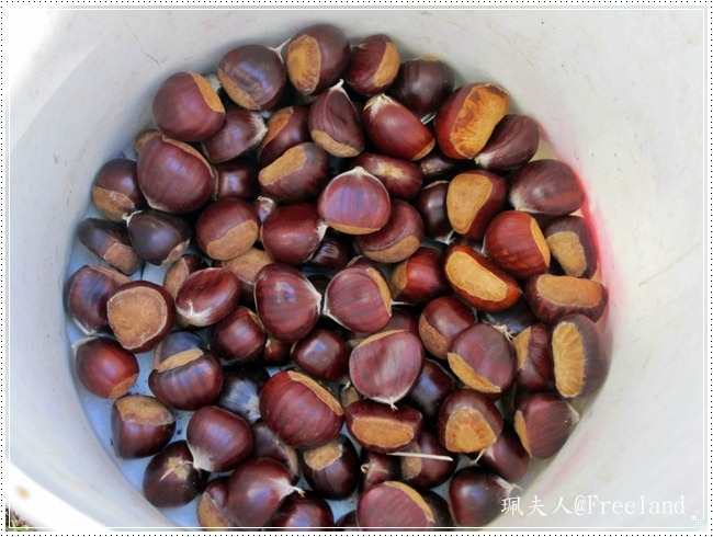[chestnuts13%255B8%255D.jpg]