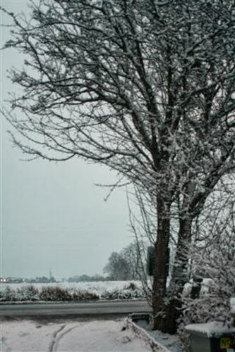 20091217 (2) (Small)