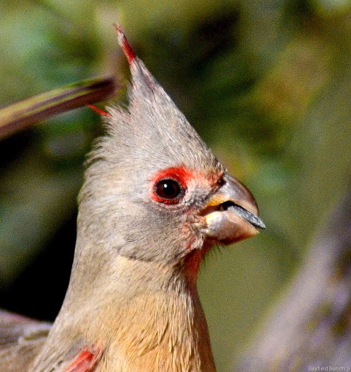 [DSC_0066%255B4%255D.jpg]