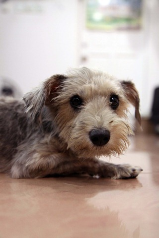 [IMG_0581%255B3%255D.jpg]