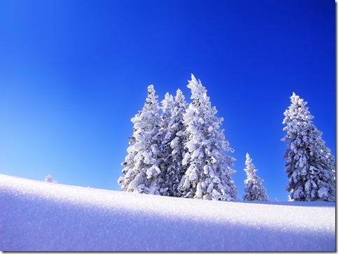 poze desktop - iarna poze desktop - iarna