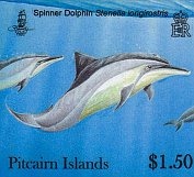 dolphins150c