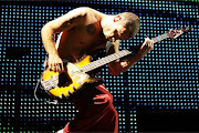 Flea
