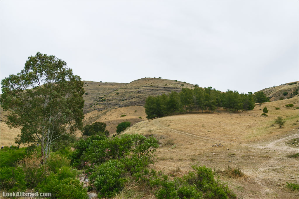 LookAtIsrael.com: Фото-блог о путешествиях по Израилю. Тель Авив, Иерусалим, Хайфа 