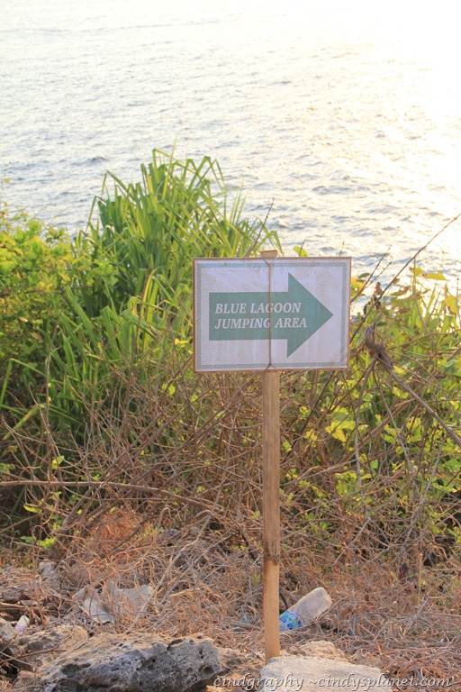 [Blue--Lagoon-Sign-Board4.jpg.webp]