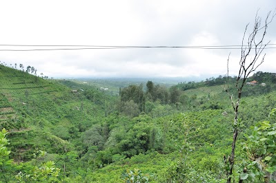 DSC_0012.jpg