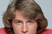 Andy Gibb